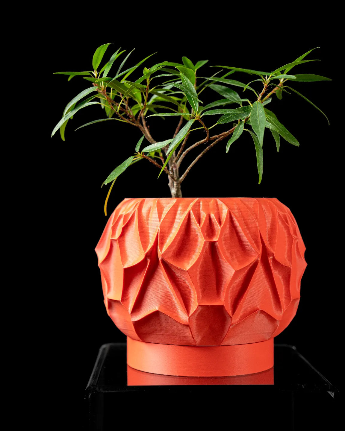 Flamefold Planter – Sculpted 3D Printed Pot (Eco-Friendly PLA)