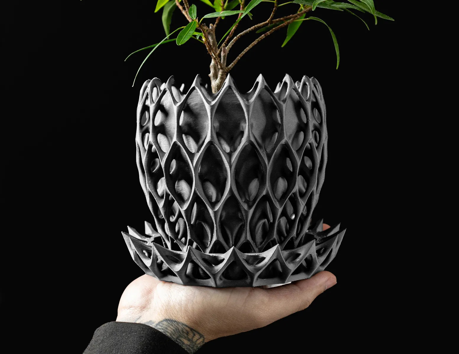 Invader Geo Succulent Planter with Catch Tray